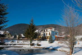 Отель Hotel aux Deux Clefs  Мецераль